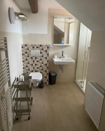 Hostinec U Pejska A Kocicky Guest house