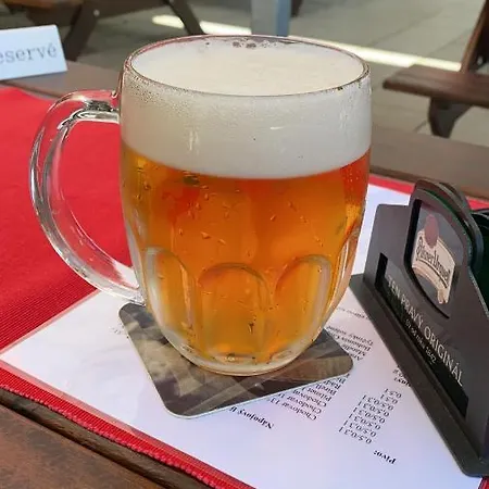 Gasthuis U Pejska A Kocicky 3*