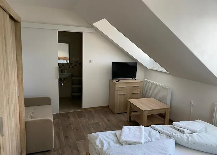 U Pejska A Kocicky Gasthuis 3*
