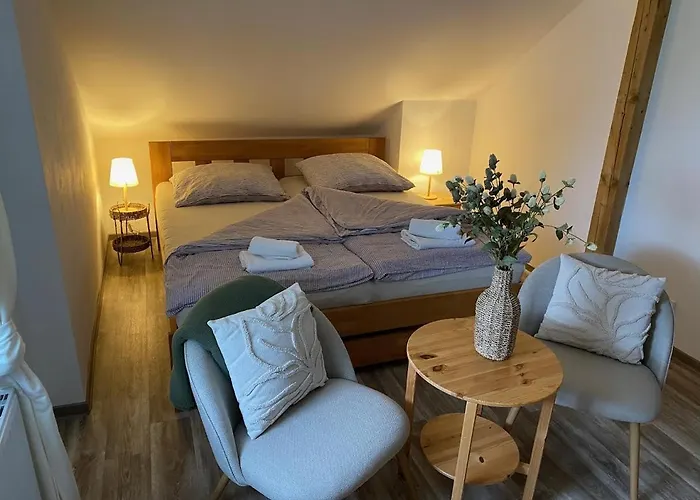 U Pejska A Kocicky 3* Mariënbad